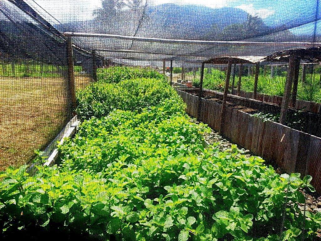 Guerrera Rice Paddy Villas Mambajao Bagian luar foto
